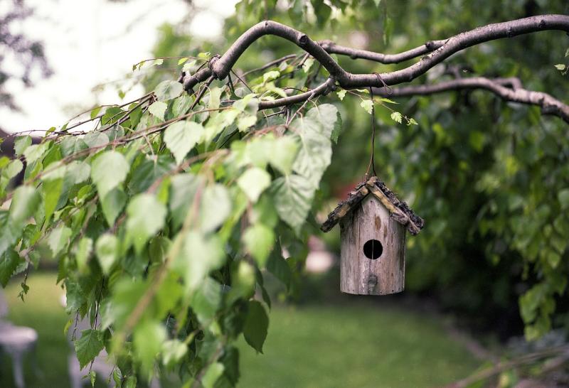 Blockhaus-Style - Dein ganz persönliches Holzhighlight im Garten