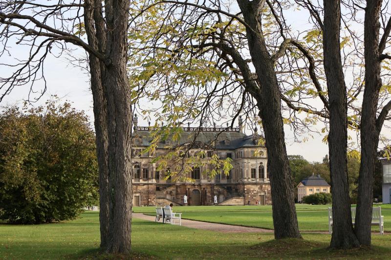 Das grüne Herz von Dresden: Wie die Stadt die Natur schützt und Umweltinitiativen unterstützt