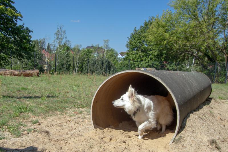 Neues Paradies für Vierbeiner im Bautzener Osten