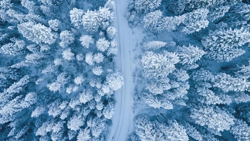 Die schönsten Winterwanderwege rund um die Oberlausitz