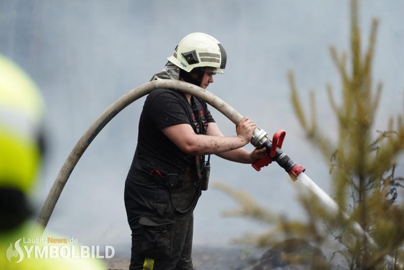 Wald in Brand gesetzt - Zeugen gesucht