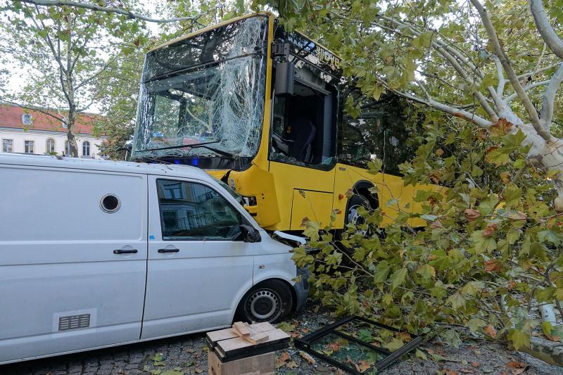 Linienbus kollidierte mit Baum und Kleintransporter - 30 Verletzte